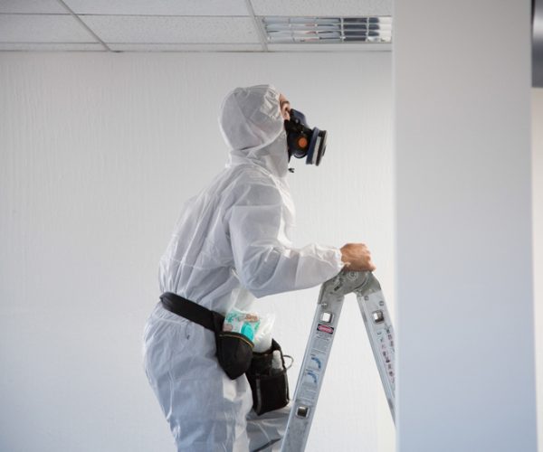 Asbestos Surveys  